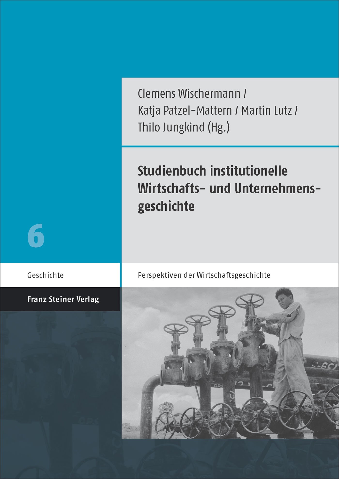 Studienbuch institutionelle Wirtschafts- und Unternehmensgeschichte