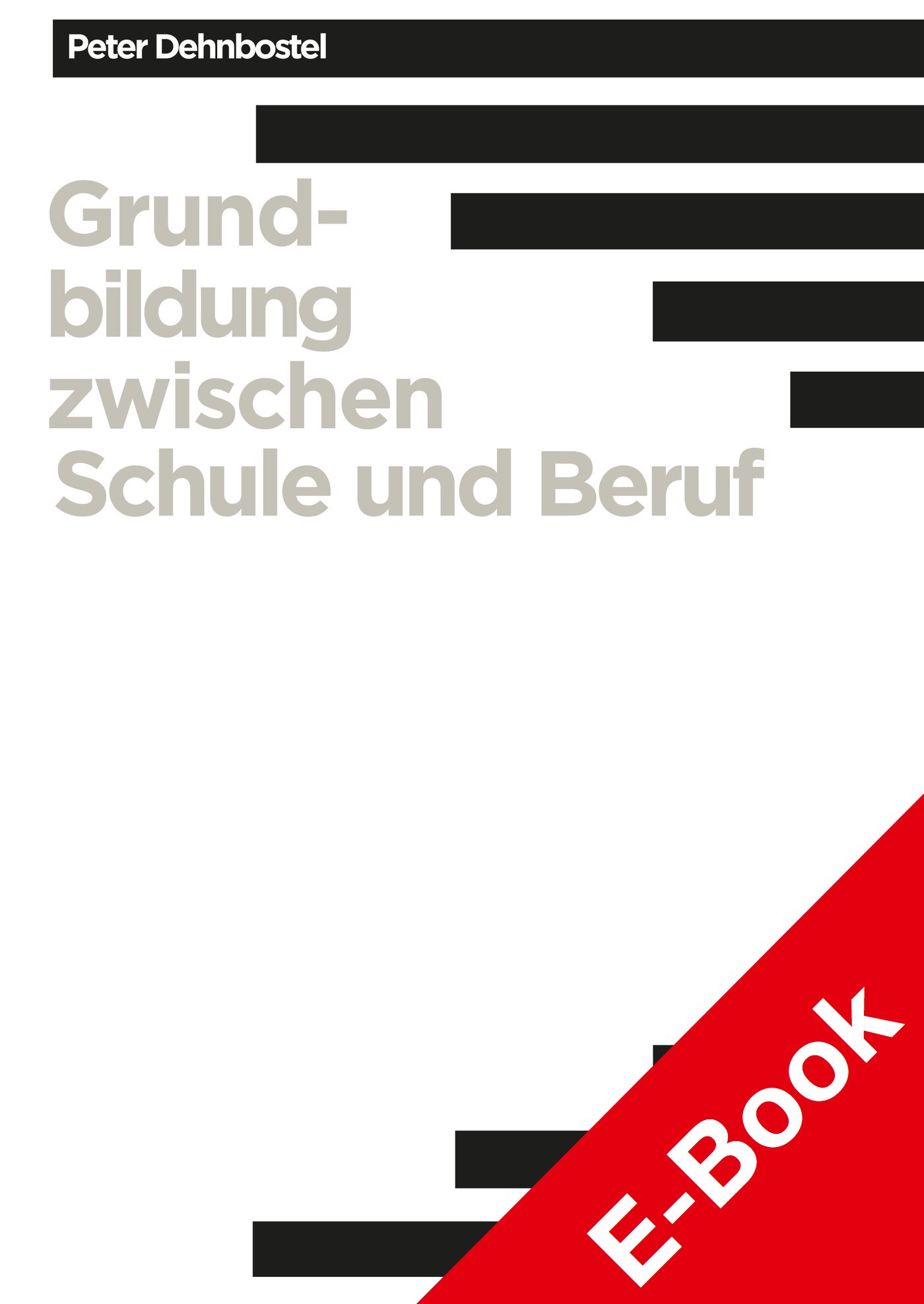 Grundbildung zwischen Schule und Beruf