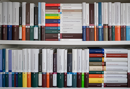 two-leveled bookshelf with Steiner books